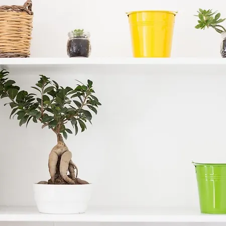 Pirandello Holidays Apartmán